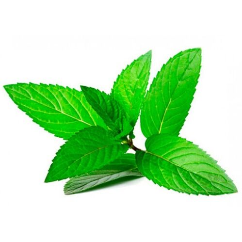 Aceite de menta en la crema zxcvbnmqwort