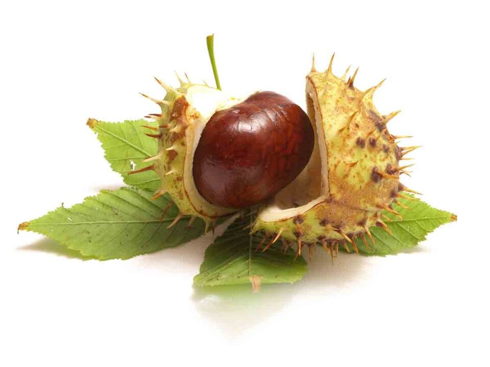 La crema Varicone contiene extracto de castaño de caballos