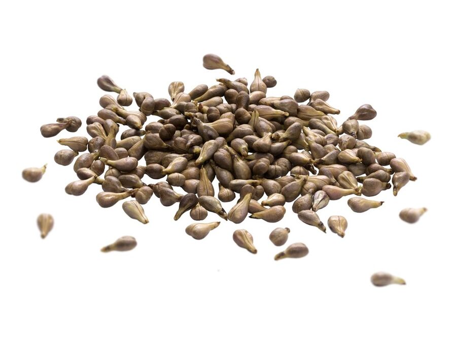 La crema de varicones contiene aceite de semilla de uva